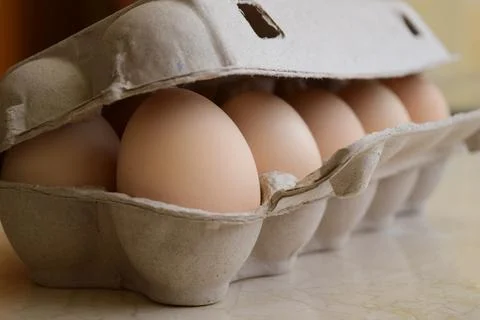 Packaging of chicken eggs Stock Photos