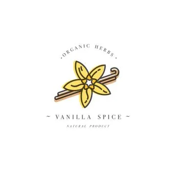 Packaging design template and emblem - herb and spice - vanilla flower and pods Stock Illustration