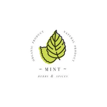 Packaging design template logo and emblem - herb and spice - mint leaf. Logo in Stock Illustration