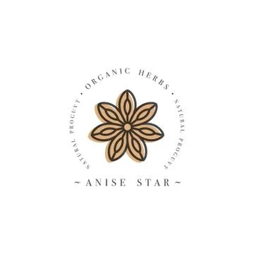 Packaging design template logo and emblem - herb and spice - anise star. Logo in Stock Illustration