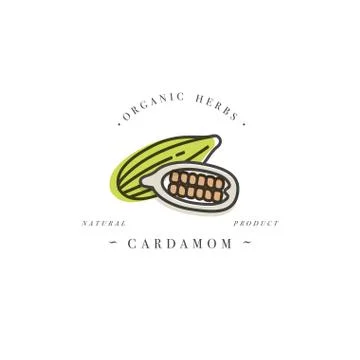 Packaging design template logo and emblem - herb and spice - cardamom. Logo in Stock Illustration