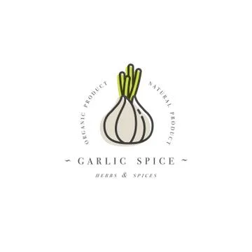 Packaging design template logo and emblem - herb and spice - garlic head. Logo Stock Illustration