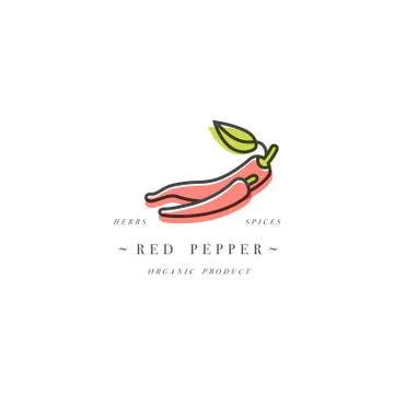 Packaging design template logo and emblem - herb and spice - red chili pepper Stock Illustration