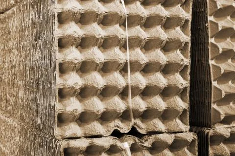 Packaging for eggs Foto stock