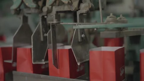 Packaging Equipment for Yerba Mate in Processing Facility, Organic Tea Industry Stock Footage 310218954