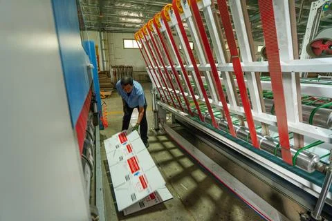 Packaging Factory Worker Sorting Printed Carton Paperboards Stock Photos