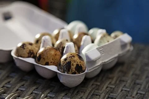 Packaging with fresh quail eggs in different colors from the side Stock Photos