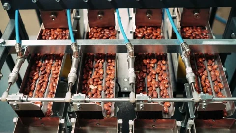 Packaging of leguminous products on a special machine, nanotechnology of Stock Footage 201614854