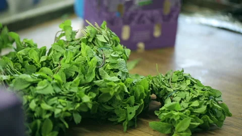 Packaging of mint leaves into a container. Employee working with gloves in trans Video stock 199486954