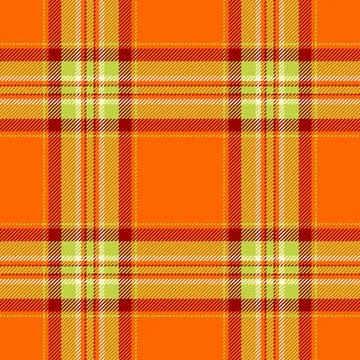 Packaging pattern check textile, upscale vector seamless texture. Indian ba.. イラスト素材