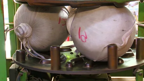 Packaging process in round canvas bags running on machinery, Taiwan Stock Footage 130667931