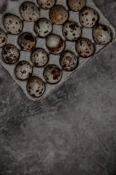 Packaging with quail eggs on a gray background Stock Photos