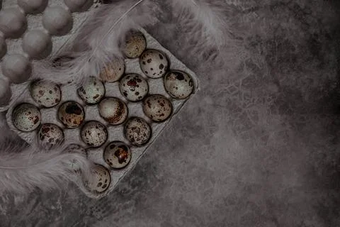 Packaging with quail eggs on a gray background Stock Photos
