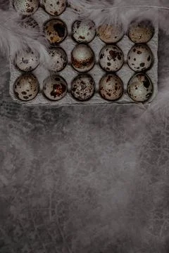 Packaging with quail eggs on a gray background Stock Photos