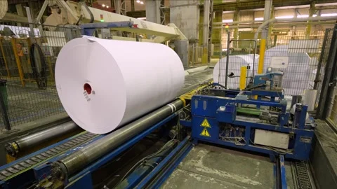 Packaging of rolls of finished white paper with a protective film Video stock 302055421