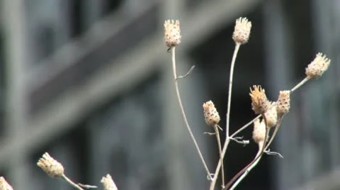 Packardplant-rack Stock Footage 11047869
