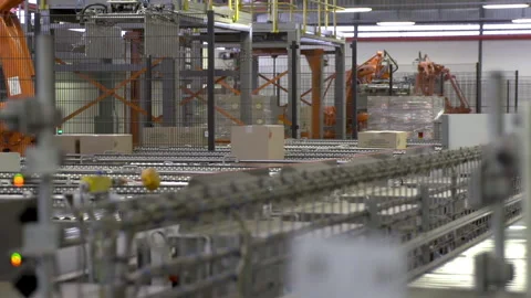 Packed boxes travel on automated rollers as robotic arms palletize them in Stock Footage 137623515