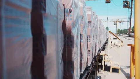 Packed brick moves for loading Vídeo Stock 163290511