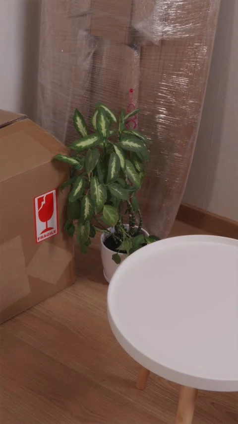 Packed cardboard boxes, wrapped table, and rug gathered for move Vidéo 346396457