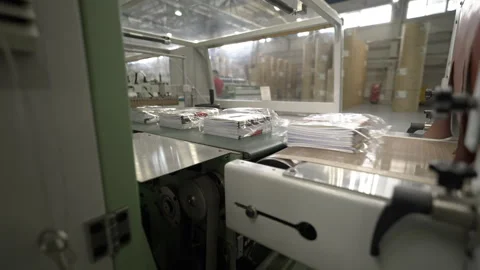 Packed cardboard sheets in foil move along conveyor to storage 動画素材 295655126