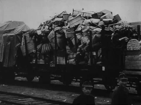 Packed cargo train in the Arctic Circle Stock Footage 221533203