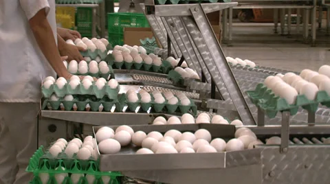 Packed Eggs Stock Footage 37639402