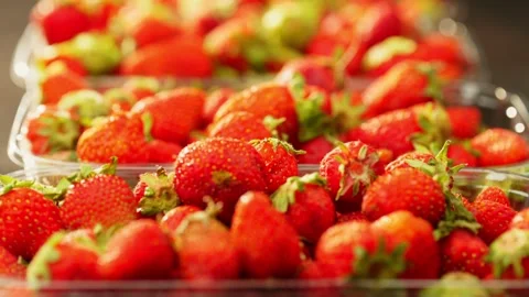 Packed fresh strawberries lie in boxes on supermarket shelves. Stock Footage 278001601