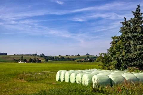 Packed Hay bales Stock Photos