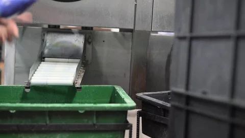 Packed milk products at automatic line for supply Video stock 70938885