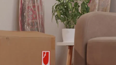 Packed moving boxes wrapped in stretch film near plant and table 스톡 동영상 346159466