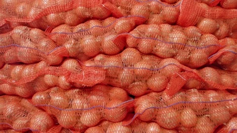 Packed organic onions Stock Footage 171555751