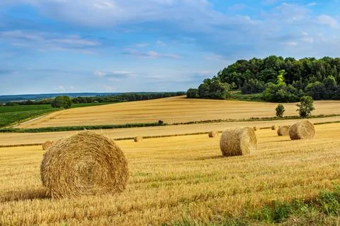 Packed pile of hay Stock Photos