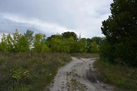 Packed sand road running alongside deciduous forest area featuring trees. Stock Photos