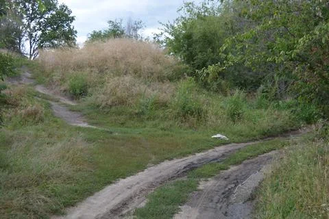 Packed sand road running alongside deciduous forest area featuring trees. Stock Photos