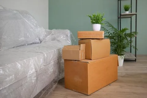 Packed sofa and cardboard boxes in the living room. The concept of moving. Stock Photos