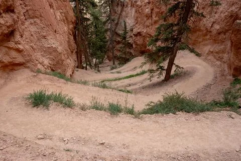 Packed Switchbacks Make Up Trail Into The Hoodoos Of Bryce Stock Photos