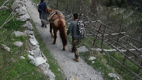 Packhorses are used to cross difficult terrain on path  on Amalfi Coast Stock Footage 74243403