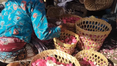 Packing in the basket. Stock Footage 251095365
