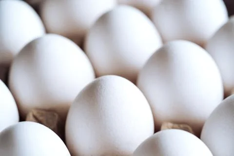 Packing, box of white eggs isolated side view, closeup Foto stock