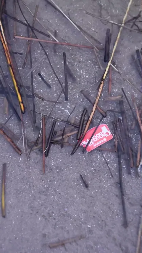 Packing Choco Pie in the lake Stock Footage 270376591