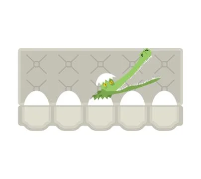Packing eggs hatched crocodile isolated. Vector illustration Stock Illustration