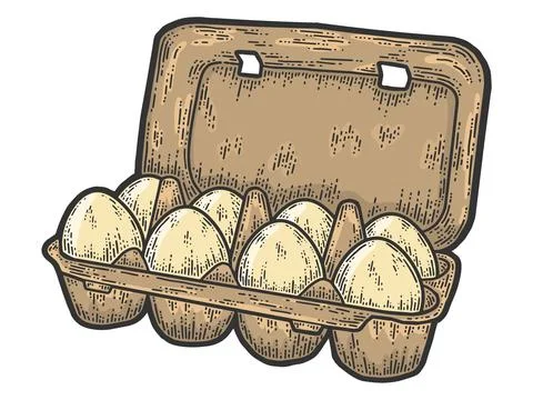Packing eight eggs. Sketch scratch board imitation color. Stock Illustration