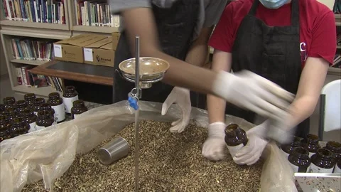 Packing loose herbal tea into containers Vidéo 227017601