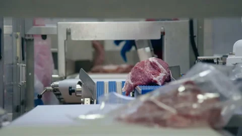 Packing meat in a package close-up Видео 159960650