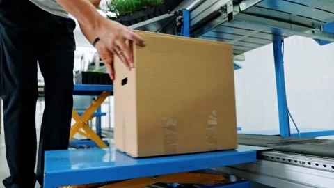 Packing of seedlings in boxes for transportation, Seed center Stock Footage 180106545