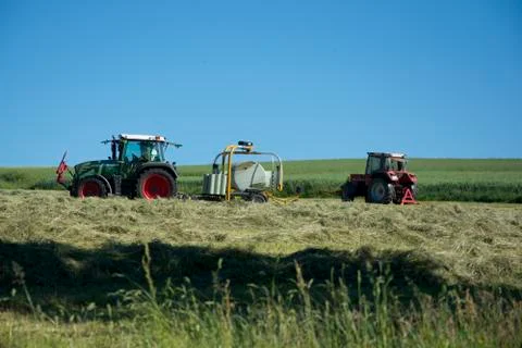 Packinghay Stock Photos