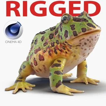 Pacman Frog Rigged for Cinema 4D 3D Model