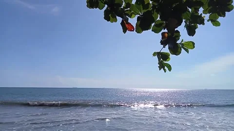 Padang Beach Video stock 238541779