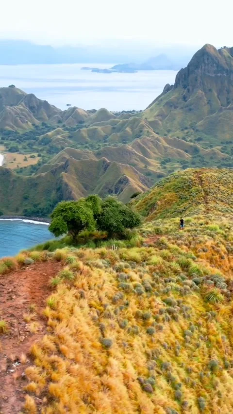 Padar island view Video stock 203906833