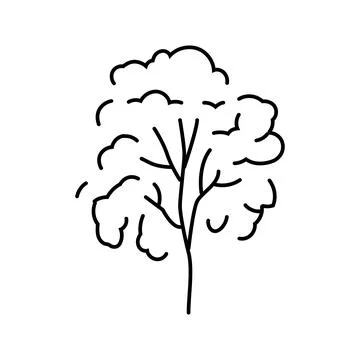 Padauk tree jungle amazon line icon vector illustration Stock Illustration